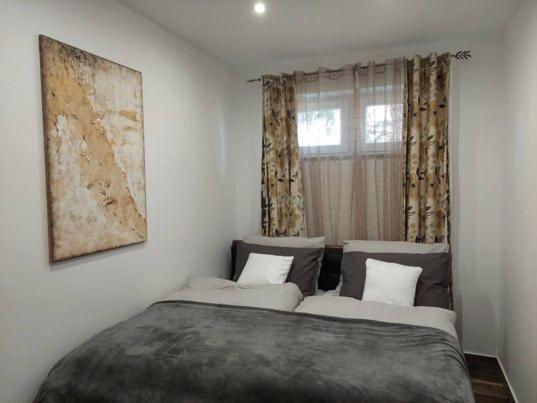 Dr Becsey Luxury Apartman Bekescsaba Exterior foto